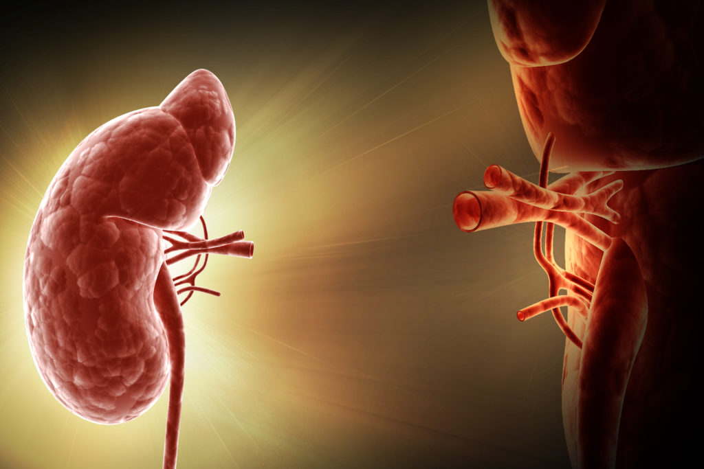 <strong>Organ Transplant</strong>